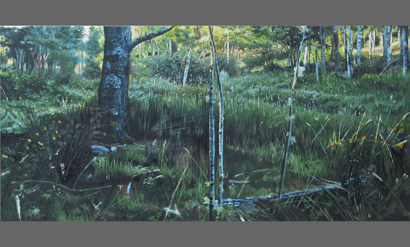 Amanecida en Los Muermos - 2017