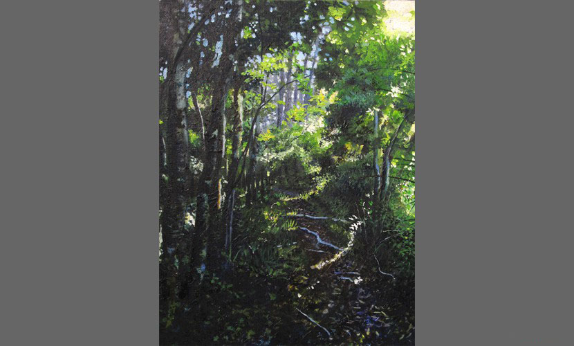 Bosque entre dos rios - 2012