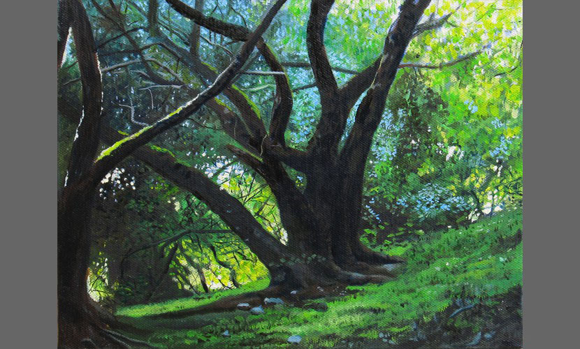 Bosque de Sauces - 2013