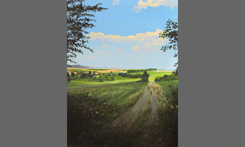 Camino a Wiehtelhauser - 2012