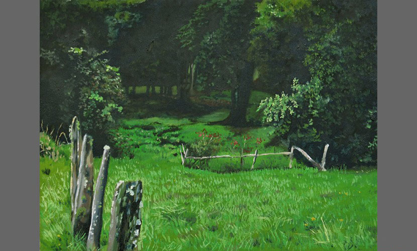 Despues de la lluvia - 2013