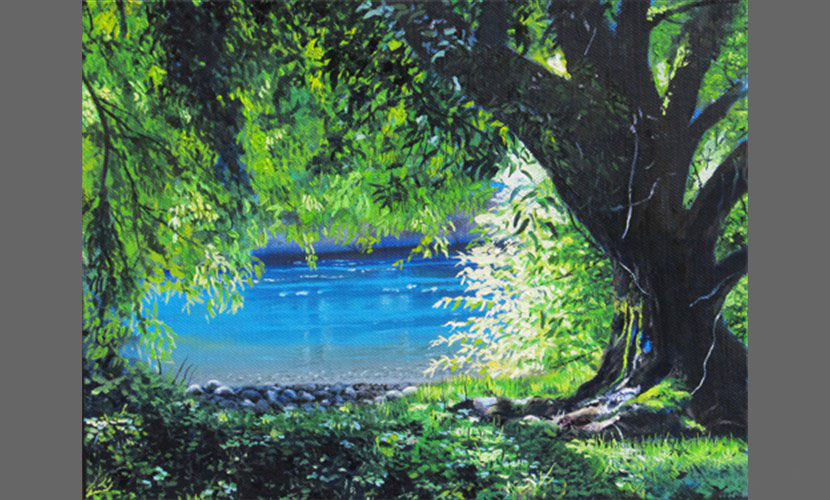 Remanso Rio Toltem - 2013