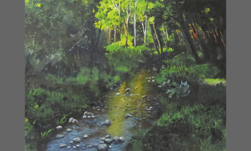 Riachuelo al atardecer - 2016