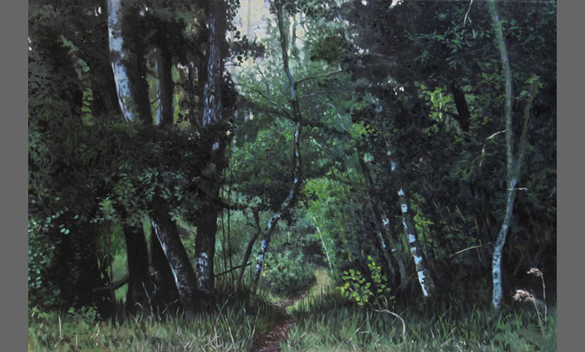 Sendero entre dos rios - 2014