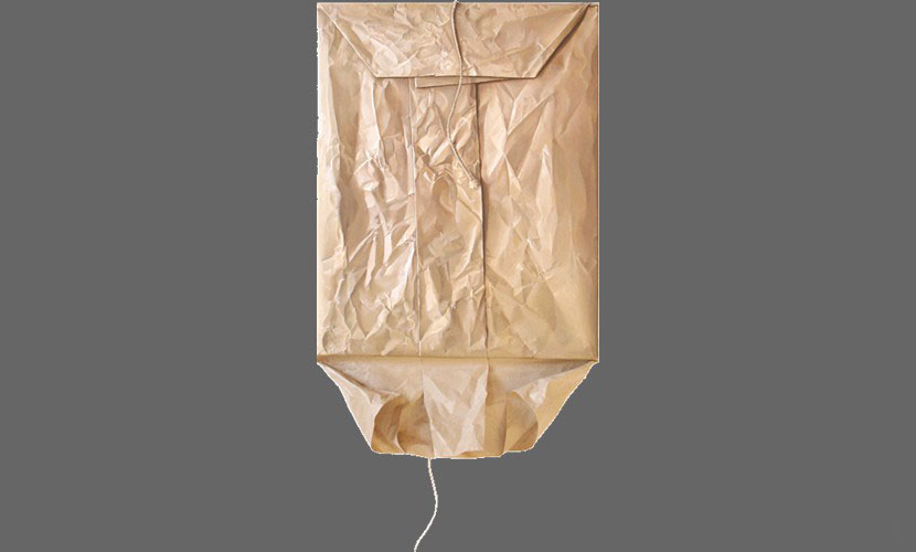 Descubriendo a Bravo - 2009